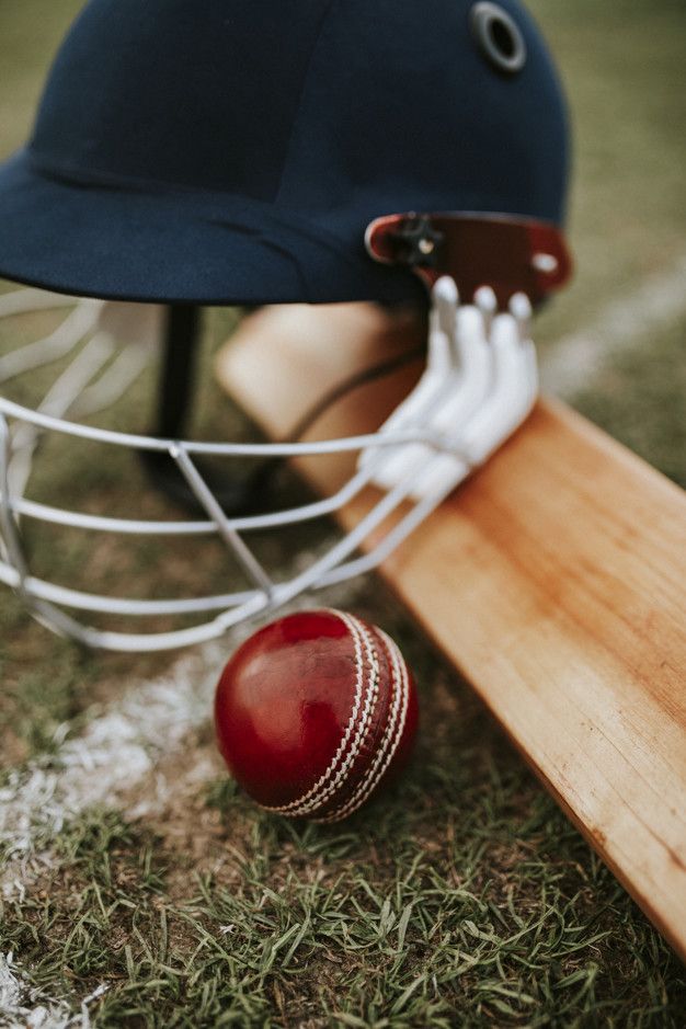 Cricket
